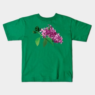 Lilacs - Small Cluster of Pink Lilacs Kids T-Shirt